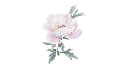 Fototapeta premium A white flower with green leaves