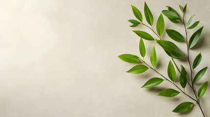 Green leaves on beige background, nature design, copy space