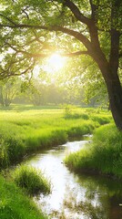 Obraz premium Sunlit Stream in Lush Green Meadow