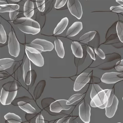 Fototapeten Floral seamless pattern features translucent eucalyptus leaves in varying shades of grey and white on a dark gray background, creating a light and airy design © momosama