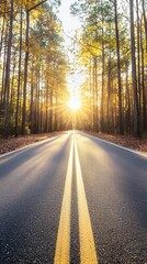 Fototapeta premium Autumnal Road at Sunset: A Scenic Country Path Through Golden Trees