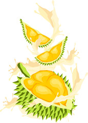 Fresh Fruit Illustration