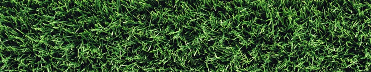 Obraz premium Seamless green grass texture pattern for soccer field backgrounds and sportswear branding. Top view of natural short-cut meadow with fresh leaves as eco-friendly digital wallpaper.