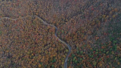 Georgia Mountains in the Spring and Fall