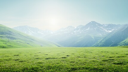 Bright Sunny Day in Verdant Mountain Valley