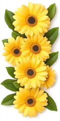 Naklejka premium Vibrant yellow gerbera daisies arranged vertically with lush green leaves against a bright white background. The flowers are in full bloom