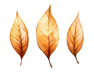 Naklejka premium Beautifully illustrated autumn leaves in various shades of orange and yellow showcase the seasonal transition