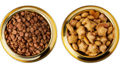 Dry food of cat and dog in golden bowl