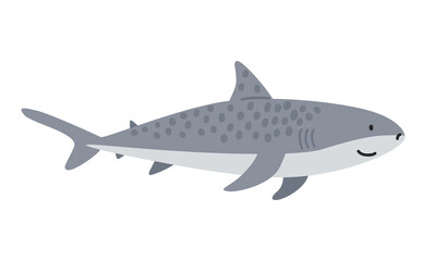 Tiger shark cartoon clipart. Cute tiger shark (Galeocerdo cuvier) vector illustration. Animal in flat style. Sea animals concept isolated on white background