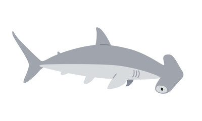 Hammerhead shark cartoon clipart. Cute hammerhead shark (Sphyrnidae) vector illustration. Animal in flat style. Sea animals concept isolated on white background