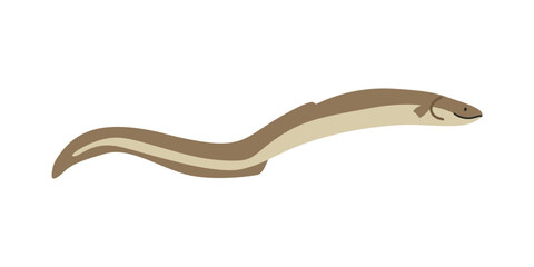 Eel (Anguilliformes) cartoon clipart. Cute eel vector illustration. Animal in flat style. Sea animals concept isolated on white background