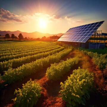 A solar-powered farm growing organic crops, reducing industrial agriculture emis.