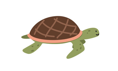 Sea turtle cartoon clipart. Cute sea turtle vector illustration. Animal in flat style. Sea animals concept isolated on white background