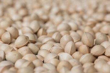 gingko nut