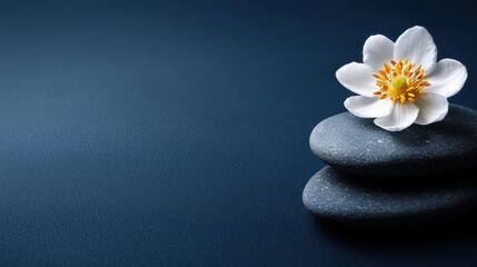 A serene composition featuring a delicate flower atop stacked stones, set against a calming dark background.