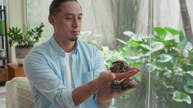 Stab waist up shot of multiethnic man in casualwear petting exotic python snake while spending time at home