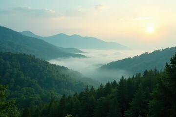 Serene Sunrise Over Misty Mountain Valley, Verdant Slopes and Coniferous Forest