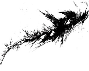 Abstract black ink dragon flight