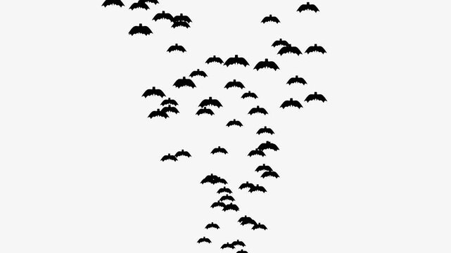 Animated bats flying on a white background