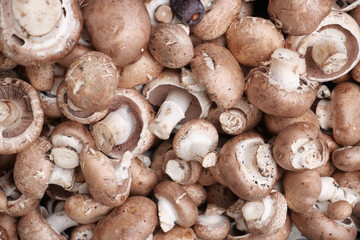 Fresh brown mushrooms stacked in a farmers market display