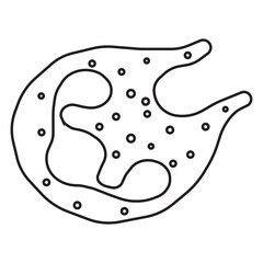 neutrophil phagocytosing line