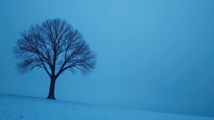 Serene Winter Landscape A Lone Deciduous Tree Stands Silently on a Snow-Covered Hill Under a Pale Blue Sky