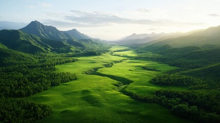 Obraz premium A breathtaking aerial view of a lush green valley surrounded by majestic mountains, illuminated by soft sunlight, showcasing nature's beauty.