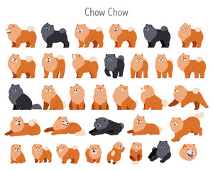 A cute vector illustration of Chow Chow dogs in various poses. A fluffy and adorable pet breed...