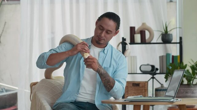 Medium long shot of attentive multi-ethnic man petting albino pet python while working on laptop at home office