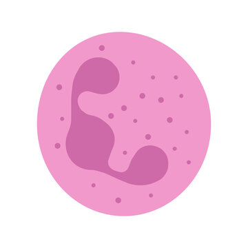 neutrophil colored icon