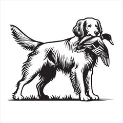 Fototapeta premium vector Labrador retriever/ Brittany Spaniel dog standing and holding a duck in its mouth