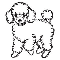 Adorable Poodle Line Art Vector Pet Dog Breed Illustration Design