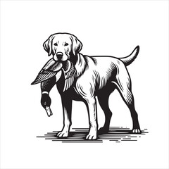 vector Labrador retriever/ Brittany Spaniel dog standing and holding a duck in its mouth