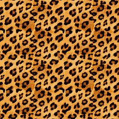 Leopard pattern skin feline texture