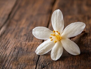 Naklejka premium Delicate white flower on rustic wooden surface, showcasing fine details and captivating textures in tranquil natural setting for peaceful ambiance