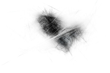feather on white background