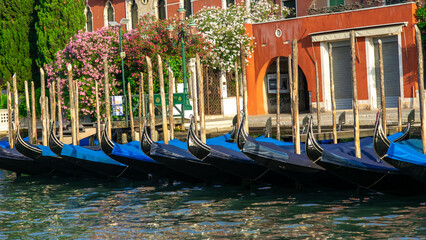 Venice in Color