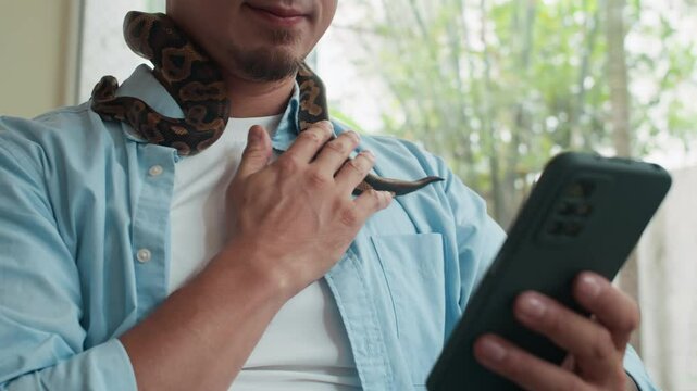 Cropped low angle shot of cheerful man petting python wriggling around his neck while texting message on smartphone