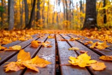 autumn leaves on a wooden bench