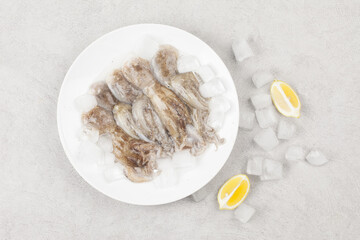 Octopus is a mollusk of the octopus family. It is similar to an octopus, but its body is about 20 to 30 cm long, short and round.
