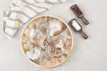 Octopus is a mollusk of the octopus family. It is similar to an octopus, but its body is about 20 to 30 cm long, short and round.