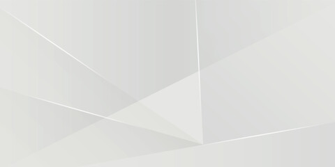 Fototapeta premium Abstract white and gray background. smooth abstract background, blurred pattern. Light pale vector background.
