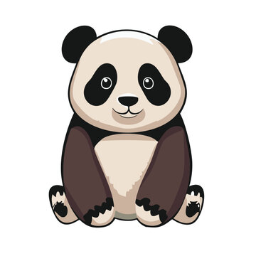 oso panda 2