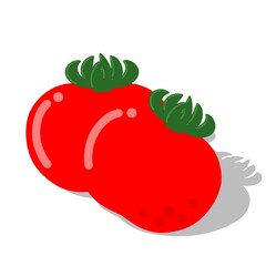 red tomato vector illustration, tomato, red tomato with green leaf, tomato on white background, tomatoes with shadow, vegetable, food, healthy, nature, red, meal, tomato illustration, for education, f