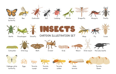 Insects cartoon clipart set. Cute insects and anthropods vector illustration set. Animals in flat style. Butterfly, bee, cockroach, ant, mantis, ladybug, dragonfly, beetle, wasp, fly, louse, termite