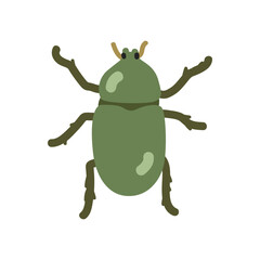 Beetle cartoon clipart. Cute green beetle vector illustration. Animal in flat style. Insects and anthropods concept isolated on white background