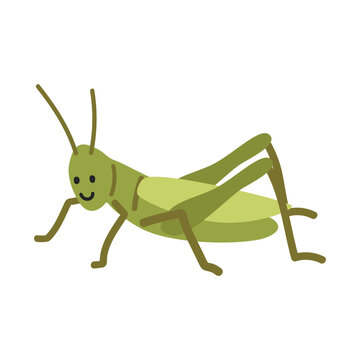 recommend clip art: Grasshopper cartoon clipart. Cute green grasshopper (Caelifera) vector illustration. Animal in flat style. Insects and anthropods concept isolated on white background