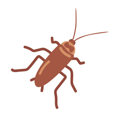 Cockroach cartoon clipart. Australian roach (Blattodea) vector illustration. Animal in flat style. Insects and anthropods concept isolated on white background