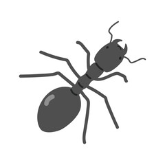 Ant cartoon clipart. Cute common black ant (Lasius niger) vector illustration. Animal in flat style. Insects and anthropods concept isolated on white background