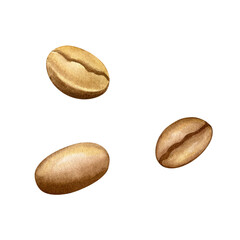 Watercolor png: coffee beans. Hand drawn isolated object on transparent. Element for design menu café, coffee house, bakery, flyer, advertising, card, interior decor, poster, label, decor, print